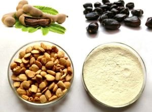 TamaGum natural hydrocolloid ingredient